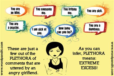 plethora in tagalog|Plethora Definition & Meaning .